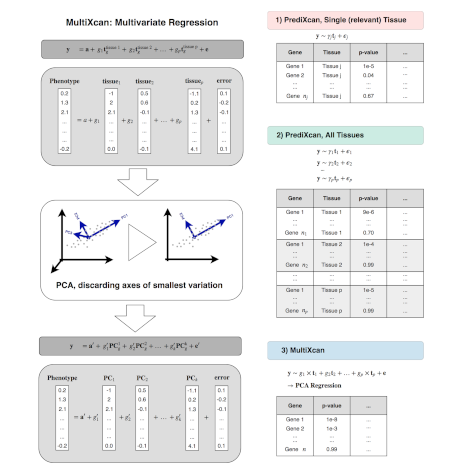 Integrating predicted transcriptome from multiple tissues improves association detection