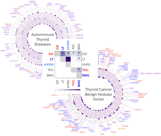 Global multi-ancestry genetic study elucidates genes and biological pathways associated with thyroid cancer and benign thyroid diseases.